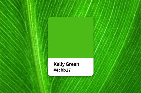 kelly green color meaning.